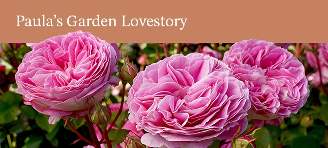 Paulas Garden Lovestory